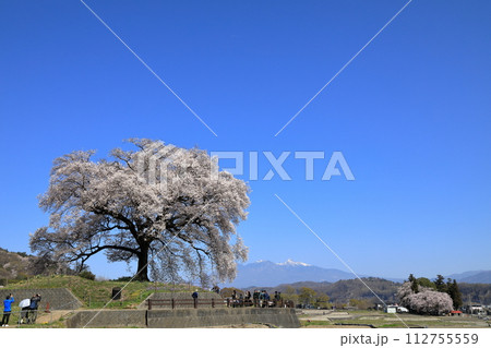 満開のわに塚の桜 ( 山梨県 韮崎市 ) 満開のわに塚の桜 ( 山梨県 韮崎市 ) 112755559