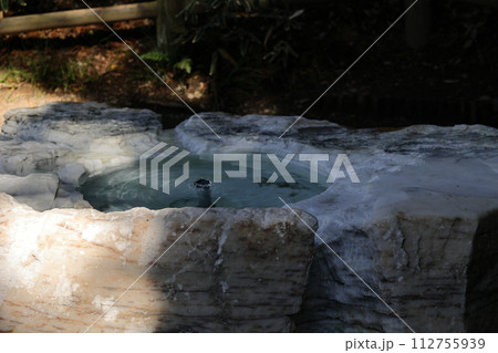 偕楽園の吐玉泉 偕楽園の吐玉泉 112755939