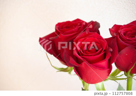 赤いばら 112757808