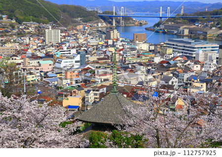 【広島県】桜が満開の天寧寺（三重塔）と尾道の町並み 112757925