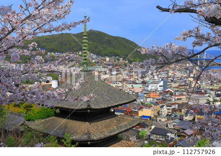 【広島県】桜が満開の天寧寺（三重塔）と尾道の町並み 112757926