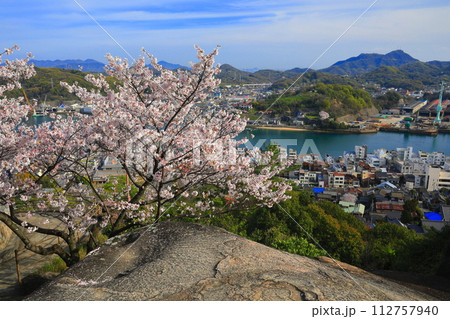 【広島県】桜が満開の千光寺から見た尾道の町並み 【広島県】桜が満開の千光寺から見た尾道の町並み 112757940
