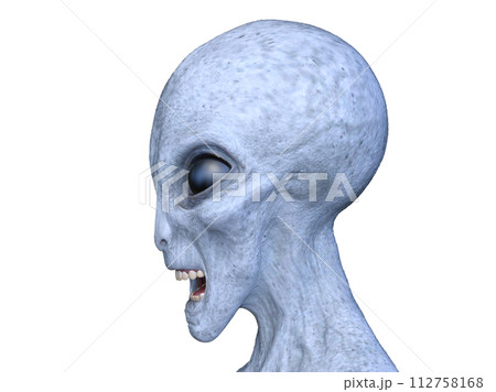 エイリアンの頭 112758168