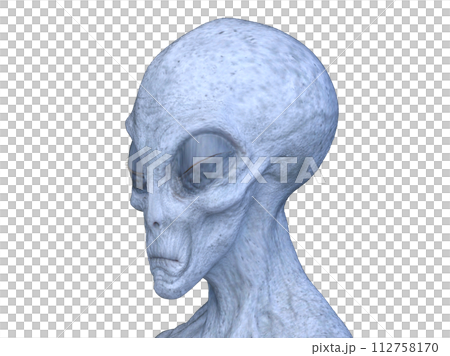 外星人頭 外星人頭 112758170