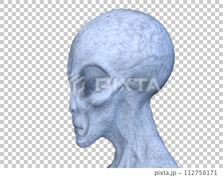 外星人頭 外星人頭 112758171