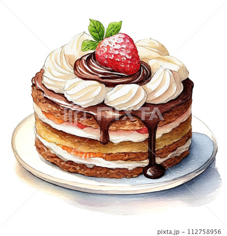 苺とチョコレートのデコレーションケーキのイラスト　白背景の切り抜き 112758956