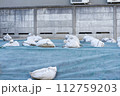 工事現場シート 112759203