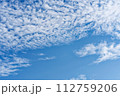 秋の青空と白い雲 112759206