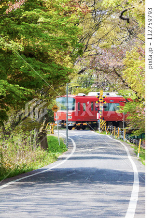 木立の間を走る赤い電車 木立の間を走る赤い電車 112759793
