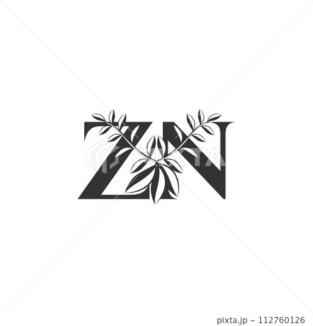 ZN or NX logo and icon design 112760126