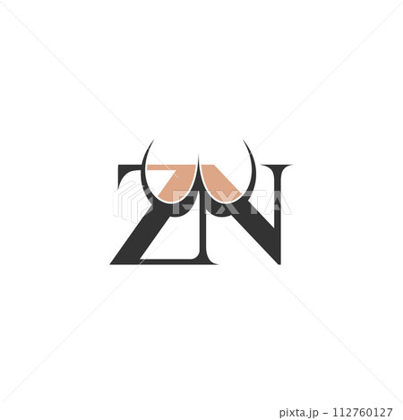 ZN or NX logo and icon design 112760127