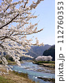 川沿いに咲く満開の桜 112760353