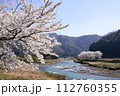 川沿いに咲く満開の桜 112760355