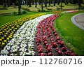 色とりどりの花が咲き誇る公園 112760716