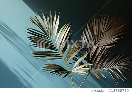 Shadow from the leaves of a green palm tree, blue wall, background with reflection of sunlight from tropical leaves Shadow from the leaves of a green palm tree, blue wall, background with reflection of sunlight from tropical leaves 112760759