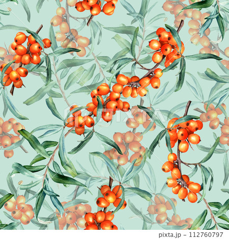 Seamless pattern with medicinal plant sea buckthorn branches. Hand drawn watercolor botanical illustration for wrapping wallpaper fabric textile 112760797