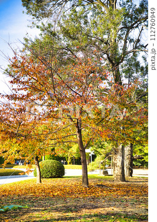 広島平和記念公園 112760949