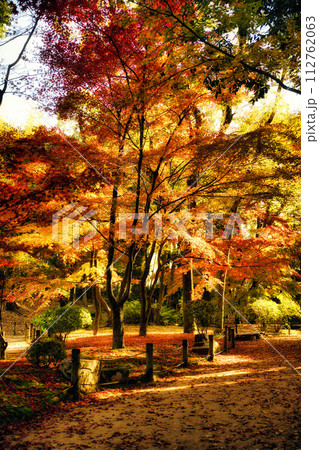 広島　秋の縮景園 112762063