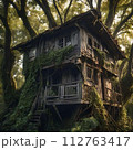 ツリーハウス 112763417