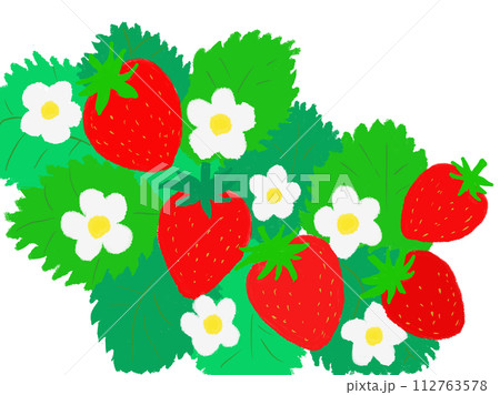 おいしそうないちご 112763578