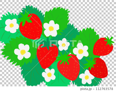 おいしそうないちご 112763578
