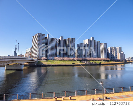 春の東京都市風景　スカイツリーを背景に望む汐入公園の桜並木と千住汐入大橋 112763738