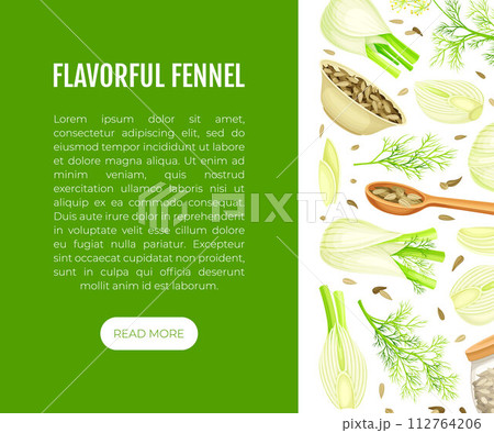 Fennel Banner Design with Edible Condiment Vector Template 112764206