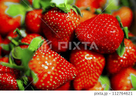 イチゴ いちご 苺 112764621