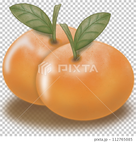 Orange collection isolated,Tropical fruits,hand drawn watercolor paint, 112765085