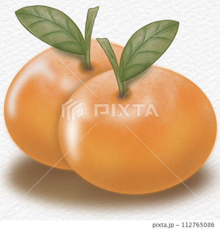 Orange collection isolated,Tropical fruits,hand drawn watercolor paint, 112765086