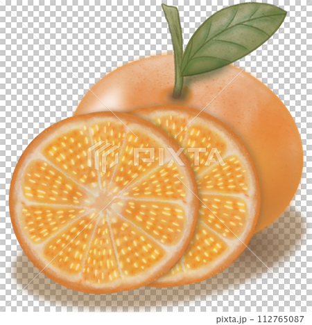 Orange collection isolated,Tropical fruits,hand drawn watercolor paint, 112765087