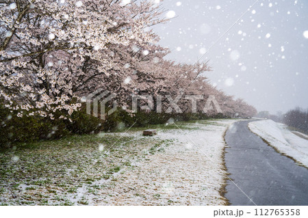 なごり雪 112765358