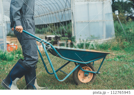 vegetable field 112765945
