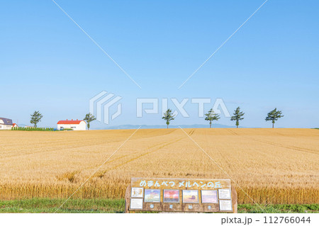 北海道女満別 麦の穂が黄金色に輝く人気の観光スポット 夏のメルヘンの丘 北海道女満別 麦の穂が黄金色に輝く人気の観光スポット 夏のメルヘンの丘 112766044