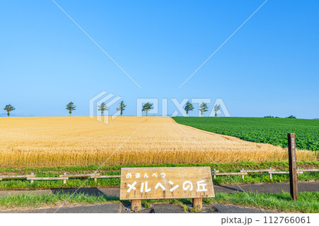 北海道女満別　麦の穂が黄金色に輝く人気の観光スポット　夏のメルヘンの丘 112766061