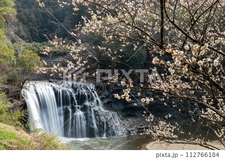 栃木県那須烏山市　春の龍門の滝 112766184