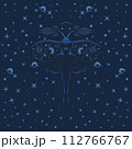 butterfly with wings 112766767