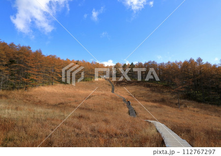 [定額] 秋の入笠山の紅葉の風景 ( 入笠湿原 ) 112767297