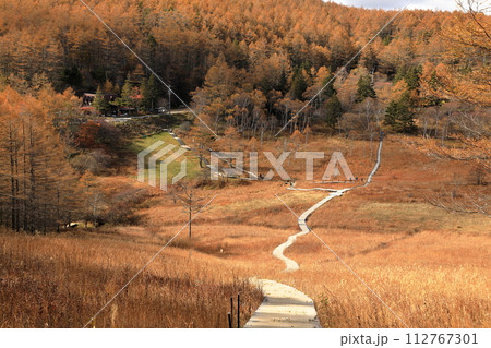 [定額] 秋の入笠山の紅葉の風景 ( 入笠湿原 ) 112767301