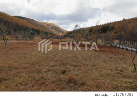 [定額] 秋の入笠山の紅葉の風景 ( 大阿原湿原 ) 112767388