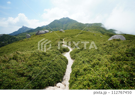 屋久島山頂の絶景 112767450