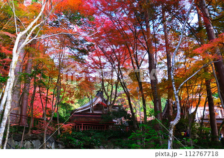 大矢田神社もみじ谷 大矢田神社もみじ谷 112767718