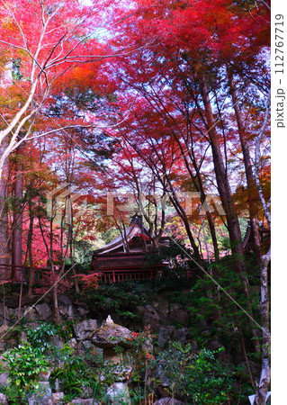 大矢田神社もみじ谷 大矢田神社もみじ谷 112767719