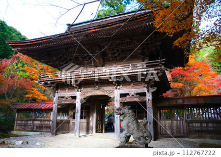 大矢田神社もみじ谷 大矢田神社もみじ谷 112767722