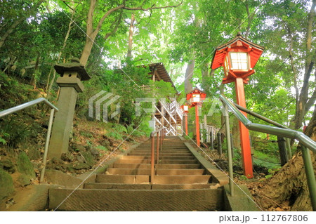 東京都・世田谷区・等々力渓谷公園 東京都・世田谷区・等々力渓谷公園 112767806