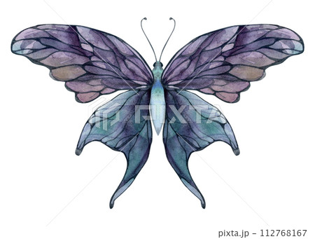 Hand drawn watercolor illustration butterfly fairy wings gem crystal insect moth. Amethyst charoite fluorite ametrine. Single object isolated on white background. Design print, shop, wedding, birthday 112768167