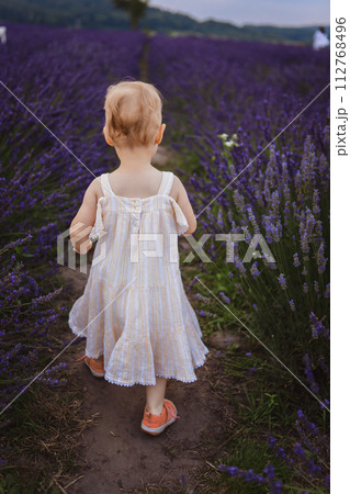 It's a beautiful day and a little girl is walking through a field of lavender It's a beautiful day and a little girl is walking through a field of lavender 112768496