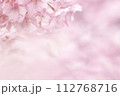 桜のメッセージ 112768716