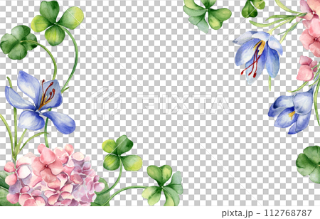 Border with pink hydrangea and clover watercolor illustration isolated on white. Painted crocus flowers Easter card. Hand drawn Irish symbol. Design for St.Patricks day, springtime, package Border with pink hydrangea and clover watercolor illustration isolated on white. Painted crocus flowers Easter card. Hand drawn Irish symbol. Design for St.Patricks day, springtime, package 112768787