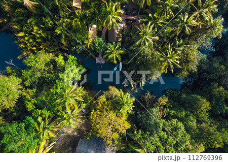 High angle coconut tree plantation on a tropical island 112769396